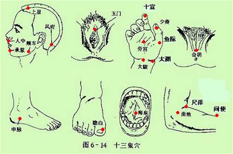 十三鬼穴位置|你知道针灸中的“十三鬼穴”吗？图解给你全面解析！